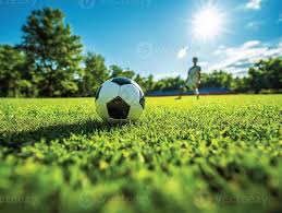 足足彩比分使用流程示意